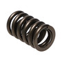 Manley 22409-16 - Valve Spring, SPRING-1.250 SINGLE