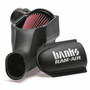 Banks Power 42155-D - 03-07 Ford 6.0L Ram-Air Intake System - Dry Filter