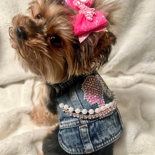 Barbie Pet Jacket Dog Cat