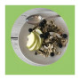 Sweet n Fruity Muesli – Diabetic-Friendly, Gluten-Free Low GI