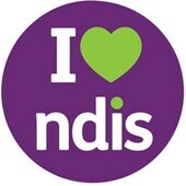 NDIS Categories