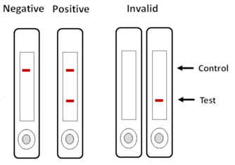 Panbio Rapid Test Results Interpretation