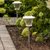 Solar Wave Glass Style - Super Bright Path Lights - 2 Pack
