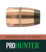45-70 CAL 300 GR HP/FN PRO-HUNTER