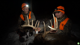New Scouting Advice for Whitetails from The Hunting Public