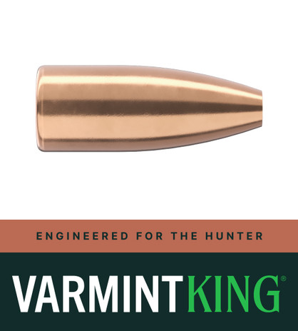 30 CAL 110 GR HP VarmintKing (SVK)