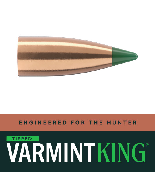 22 CAL 40 GR Tipped VarmintKing (TVK)