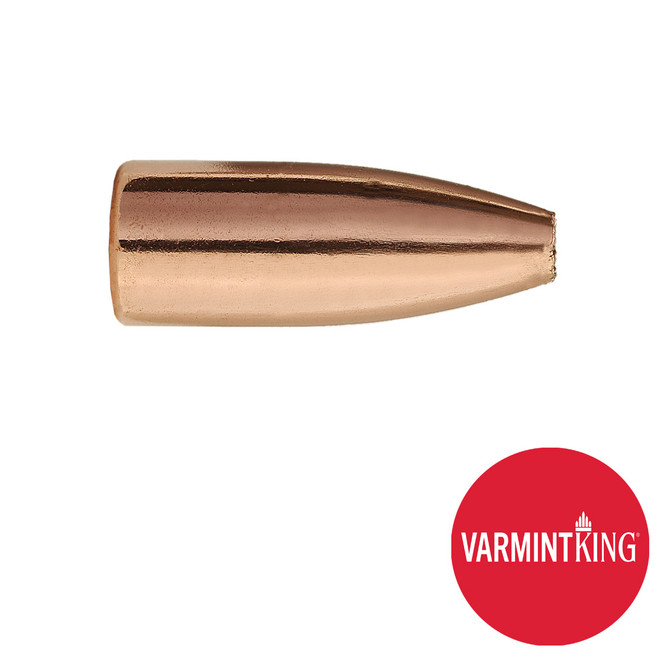 30 CAL 110 GR HP VarmintKing (SVK)