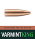 22 CAL 60 GR HP VarmintKing (SVK)