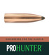 6MM 100 GR SPT Pro-Hunter