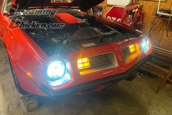 1970-81 Camaro/Firebird LED Turn Signal Bulbs