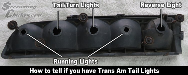 2nd-79-81-ta-bulb-combo-back-of-lens-sm.jpg