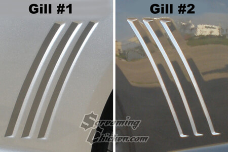 5th-gill1-2-sm.jpg