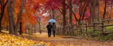 Get Autumn Ready with Luggage Superstore