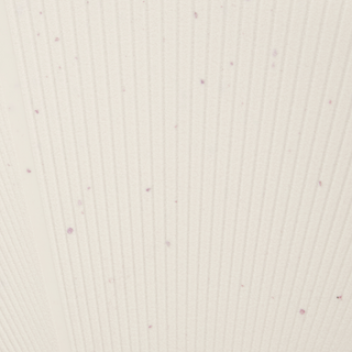 American Tourister Starvibe 67cm Ltd Edition