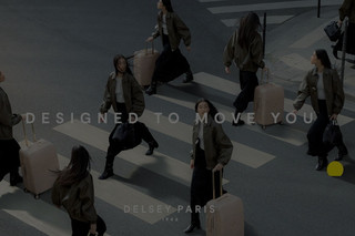 Delsey Brand Header