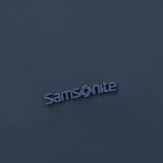  Samsonite Coatify Biz 15.6" Rolltop Laptop Backpack