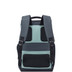 00202062033 - Delsey Securflap 15.6" Laptop Backpack Sage Green