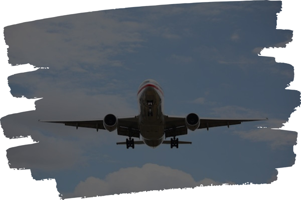 RyanAir Specific Bags Background