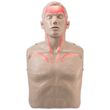 CPR Manikins