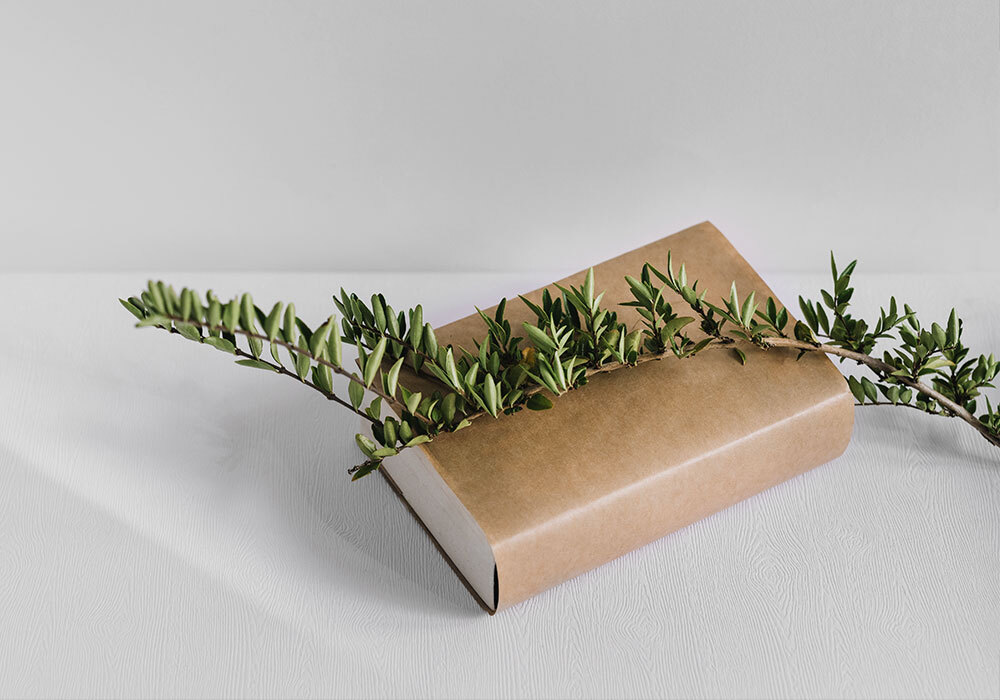 Diccionario de nombres en Farmacia Delgado Casas en  Torre de Juan Abad, Ciudad Real