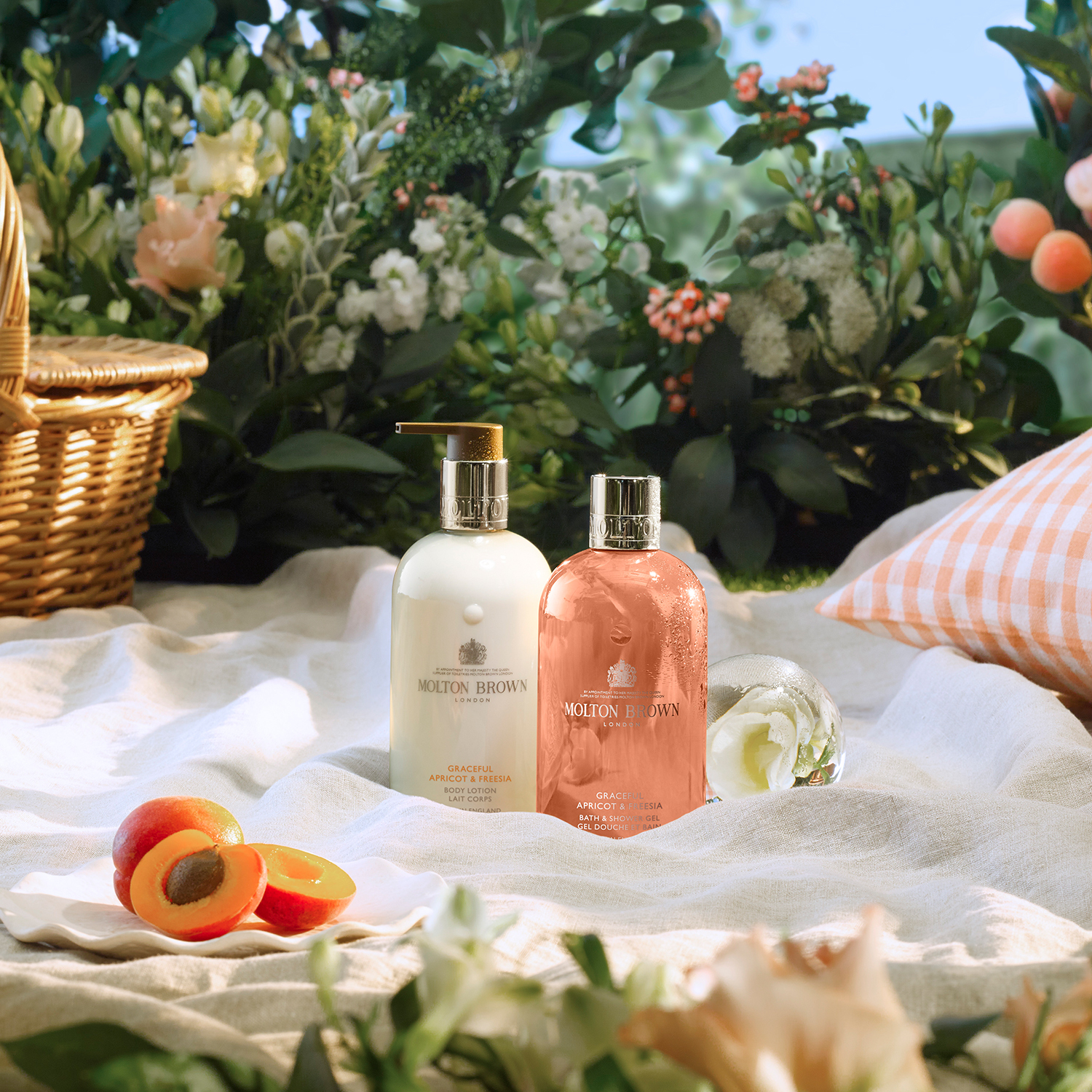 NEW Limited Edition Graceful Apricot & Freesia 