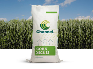 199-29STXRIB 199-29STXRIB