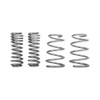 TRUHART / PERFORMANCE LOWERING SPRINGS (TH-H402) *** ACURA INTEGRA (1994-2001)