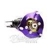 D2 RACING / RS SERIES COILOVER / SUSPENSION KIT (D-NI-38) *** NISSAN SKYLINE (1995-1998) R33 *** FORK REAR LOWER MOUNT ***