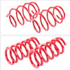 BLOX / PERFORMANCE LOWERING SPRINGS (BXSS-61000) *** TESLA MODEL 3 (2017-2023) RWD