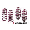 VOGTLAND / PERFORMANCE LOWERING SPRINGS (959056) *** SCION FRS (2013-2016)