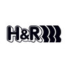 H&R / SPORT / PERFORMANCE LOWERING SPRINGS (54763) *** VOLKSWAGEN PASSAT (2012-2019) 4 CYLINDER