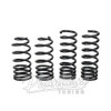 EIBACH / PRO KIT / PERFORMANCE LOWERING SPRINGS (85105.140) *** VOLKSWAGEN CC (2009-2012) 4 CYL / 6 CYL