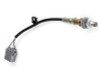 HALTECH / WB1 WIDEBAND CONTROLLER KIT / SINGLE CHANNEL / NTK O2 SENSOR (HT-159978) *** METHANOL APPLICATION