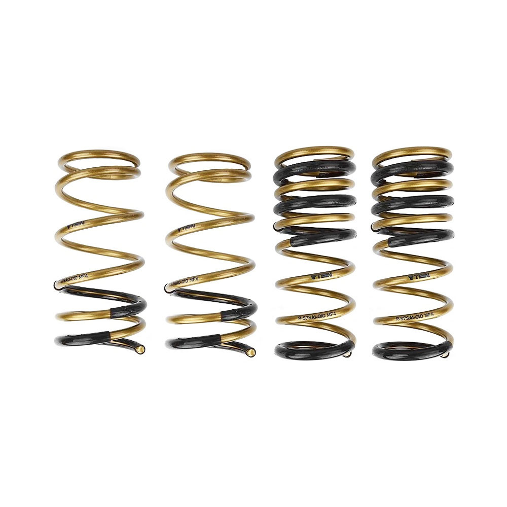 TEIN / H-TECH / PERFORMANCE LOWERING SPRINGS (SKA18-BUB00) *** ACURA INTEGRA (1994-2001)