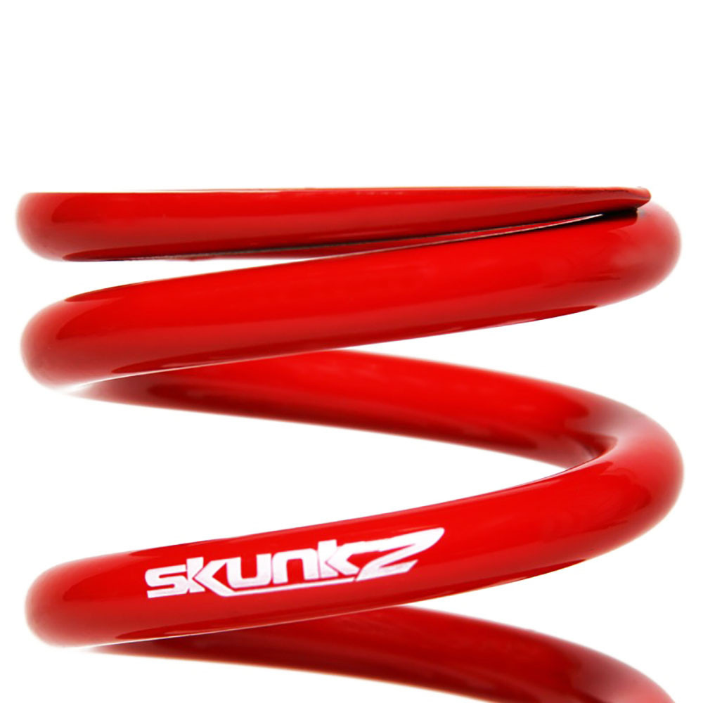 SKUNK2 / PRO-SII COILOVER / SUSPENSION KIT (541-05-4720) *** ACURA INTEGRA (1994-2001)