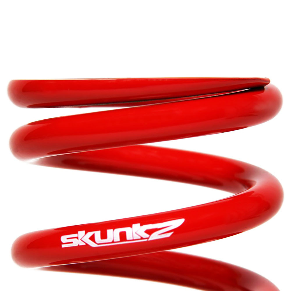 SKUNK2 / PRO-SII COILOVER / SUSPENSION KIT (541-05-4750) *** HONDA CIVIC SI (2006-2011)