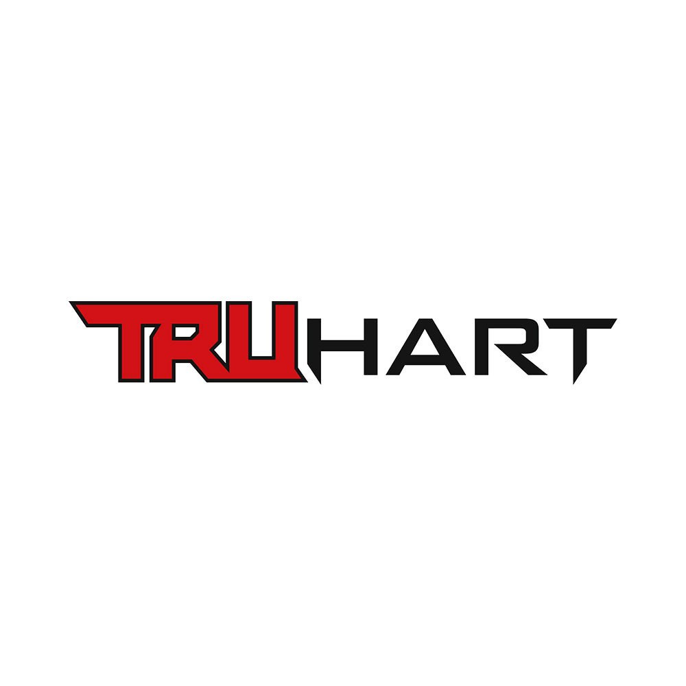 TRUHART / AIR PLUS STRUTS / AIR SUSPENSION KIT (TH-H1016-M) *** HONDA ACCORD (2018-2022) 1.5L TURBO *** INCLUDES BYPASS MODULE FOR ADS ***