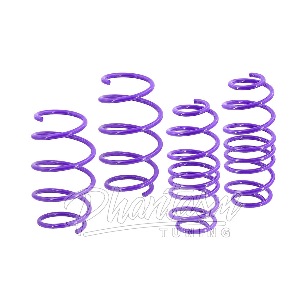 D2 RACING / PERFORMANCE LOWERING SPRINGS (D-SP-HN-17) *** HONDA CIVIC (1992-1995)