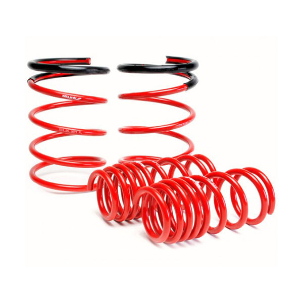 SKUNK2 / PERFORMANCE LOWERING SPRINGS (519-05-1480) *** HONDA CIVIC (1992-1995)