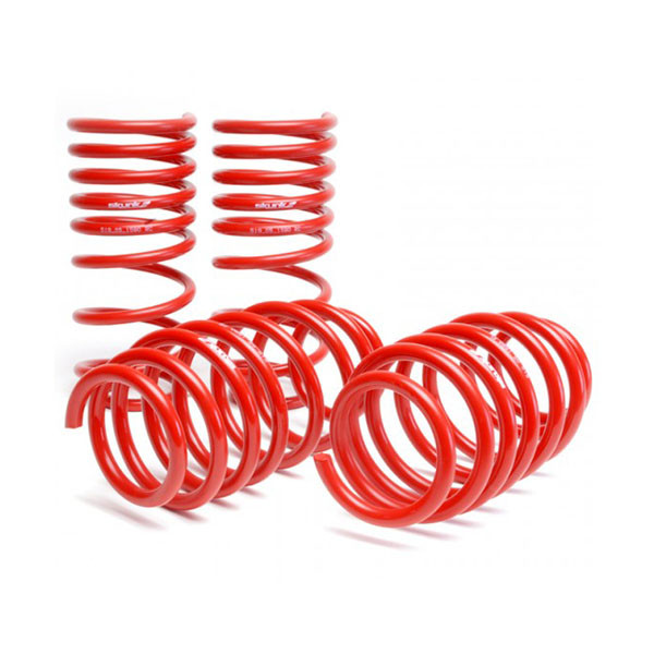 SKUNK2 / PERFORMANCE LOWERING SPRINGS (519-12-1001) *** SCION FRS (2013-2016)