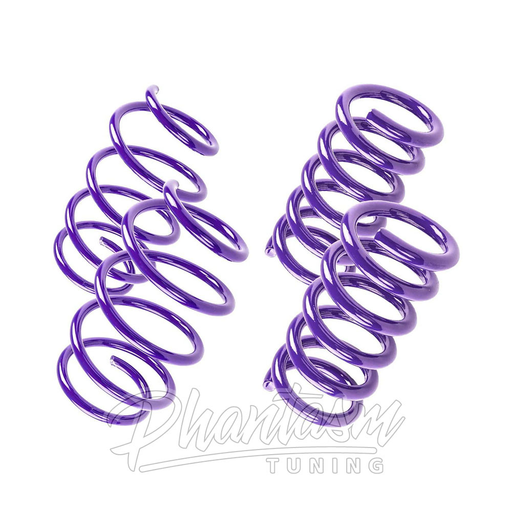 D2 RACING / PERFORMANCE LOWERING SPRINGS (D-SP-HN-25-3) *** HONDA CIVIC SI (2017-2021) HATCHBACK / SEDAN
