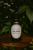 Lung Shield Extract