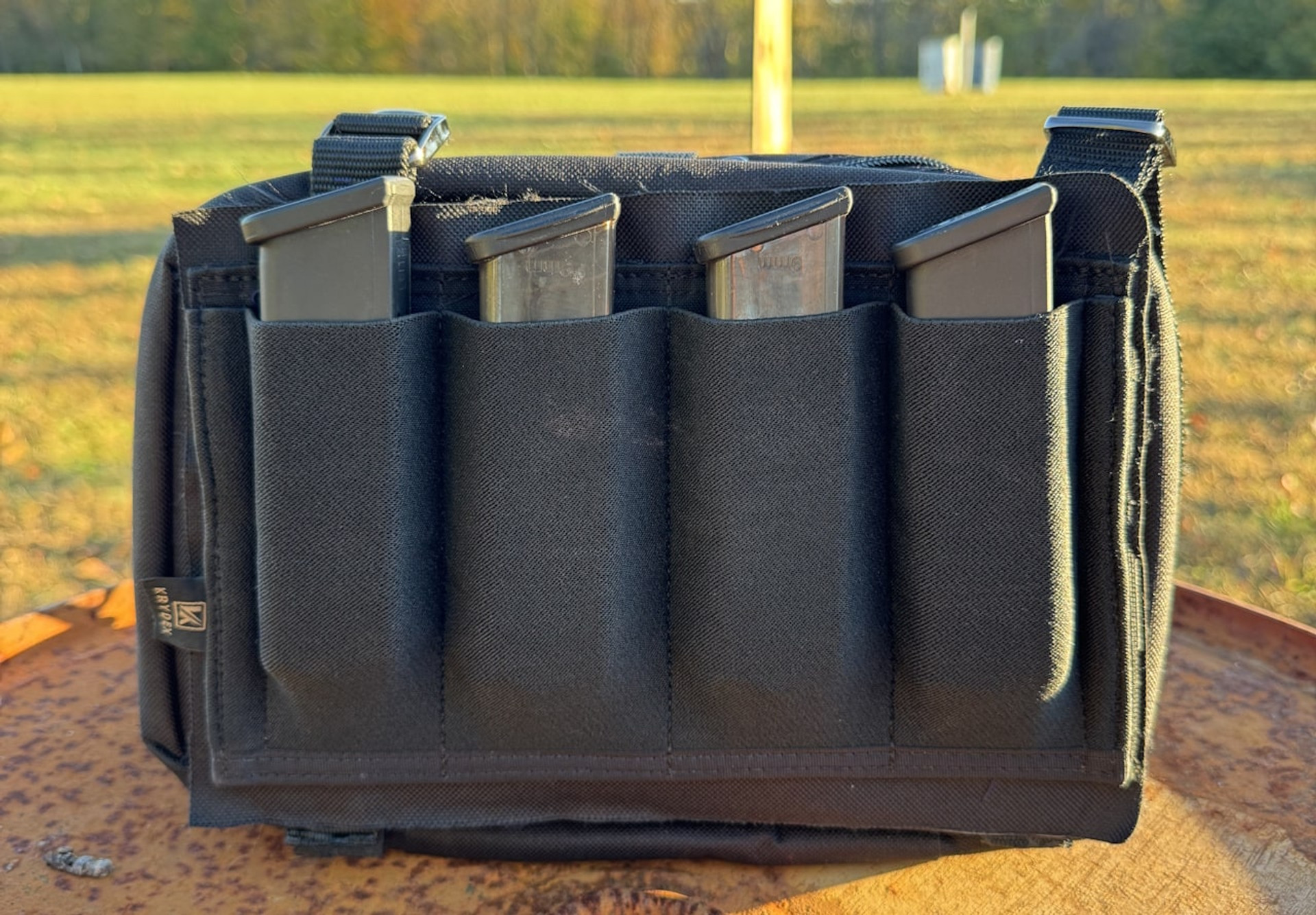 January Newsletter 2024 (archive)