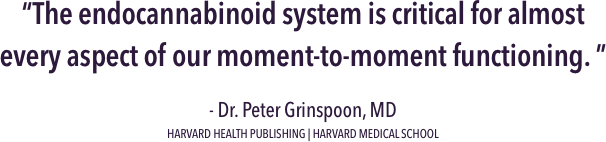 ENDOCANNABINOID SYSTEM | HARVARD MEDICAL SCHOOL