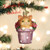  Kitten In Flower Pot Christmas Tree Ornament With Keepsake Box | Old World Christmas | Free USA Shipping!  Santas Christmas World Free Shipping over 35 dollar orders
