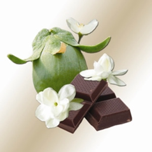Chocolate - Jasmine Scented Jojoba