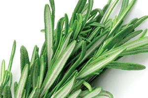 Conditioner:  Rosemary Super Moisturizing Conditioner:  Rosemary Super Moisturizing