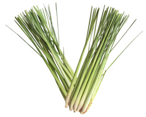 Lemongrass will grow to 2m, that is 6 and a half feet. Lemongrass will grow to 2m, that is 6 and a half feet.