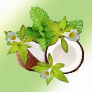 Vanilla - Peppermint Scented Fractionated Coconut Vanilla - Peppermint Scented Fractionated Coconut